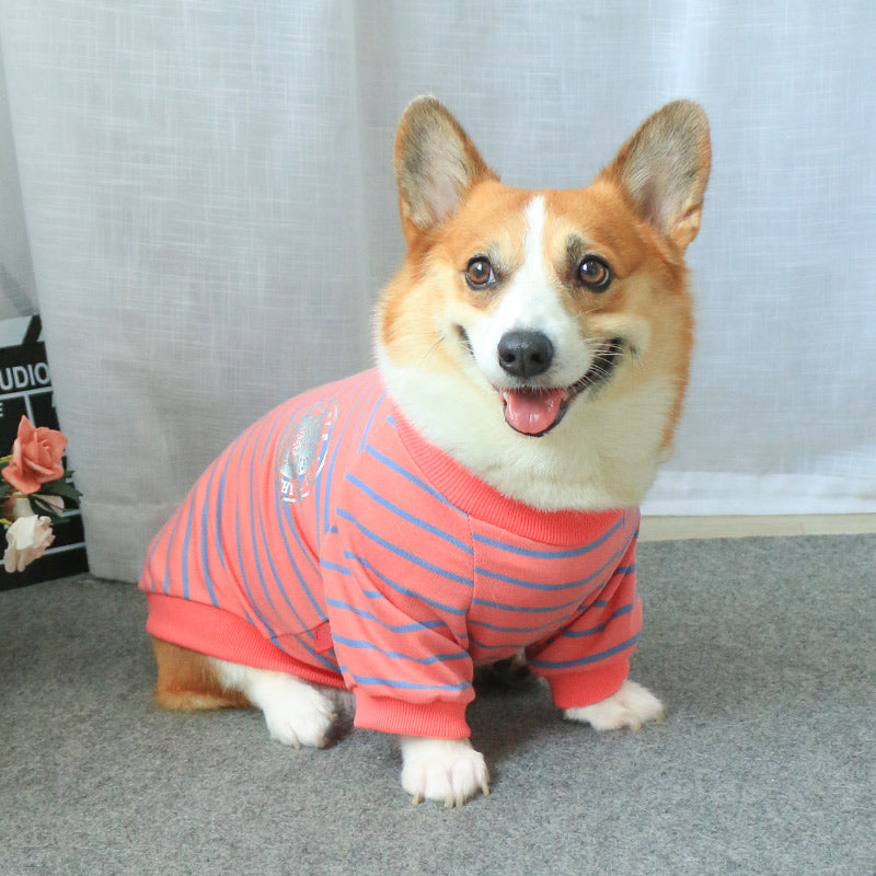 Parent Child Matching Pet Sweater Apparel