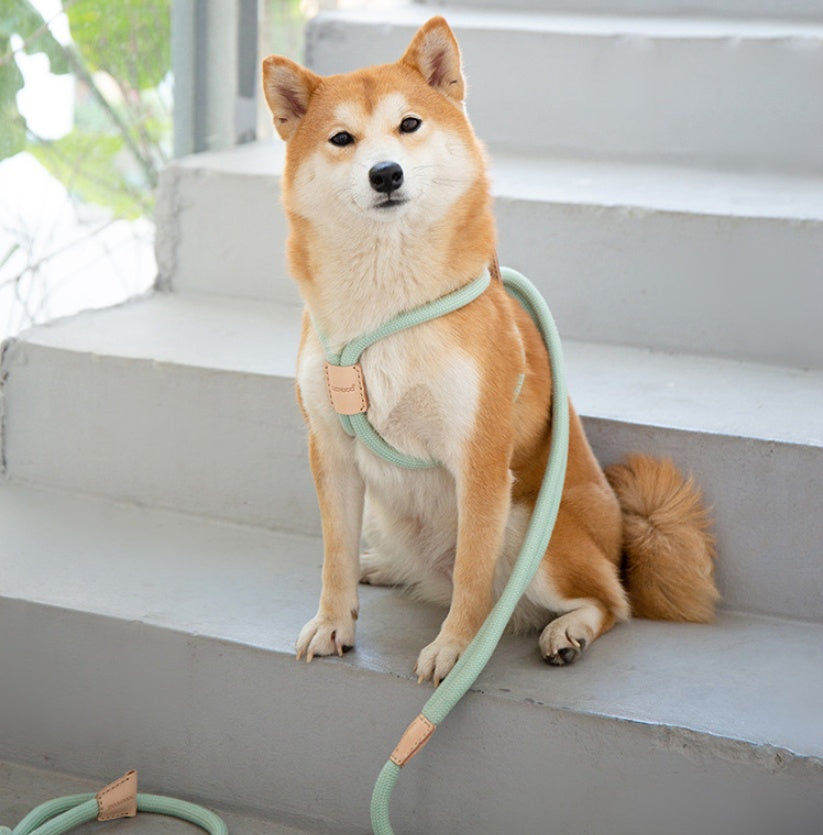 Pet Dual Purpose Integrated Round Rope Walking Leash
