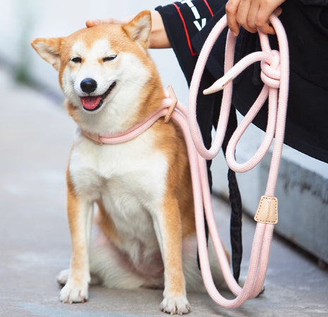 Pet Multi Functional Chest Harness Anti Burst Leash