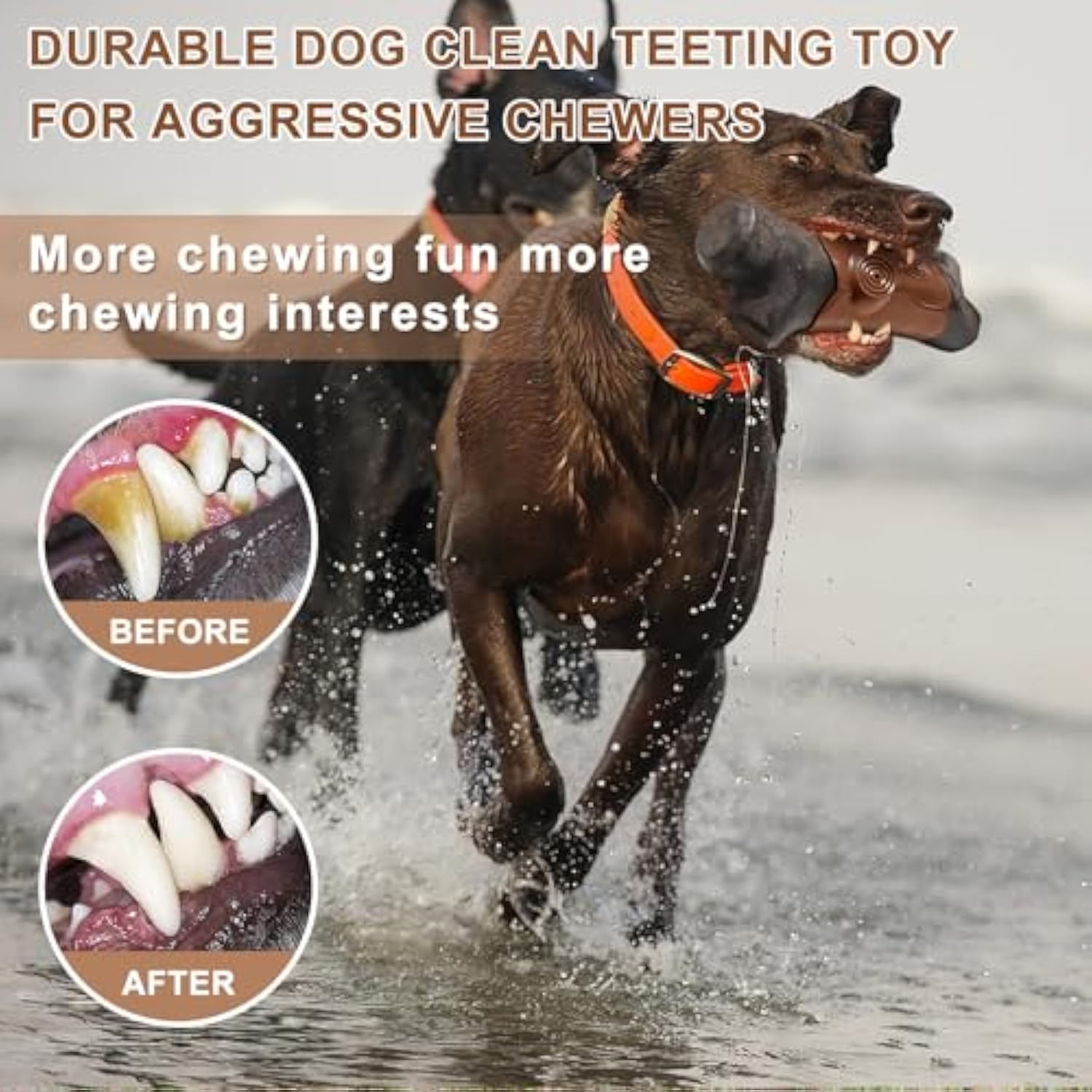 Pet Tough Durable Chew Toy Bacon Flavor Large Breed Toy