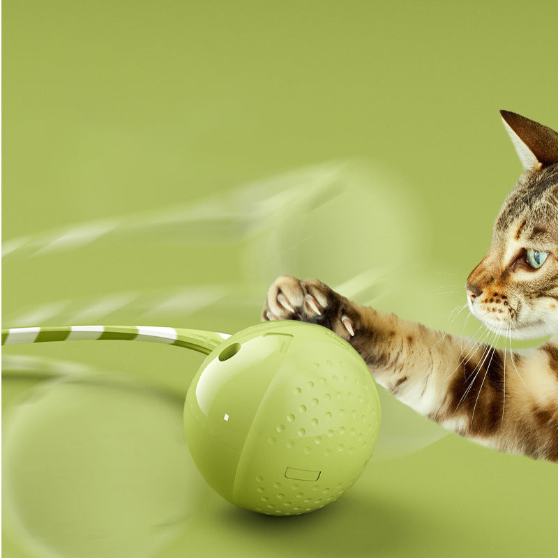 Pet Interactive Electric Motion-Activated Sensor Toy Ball