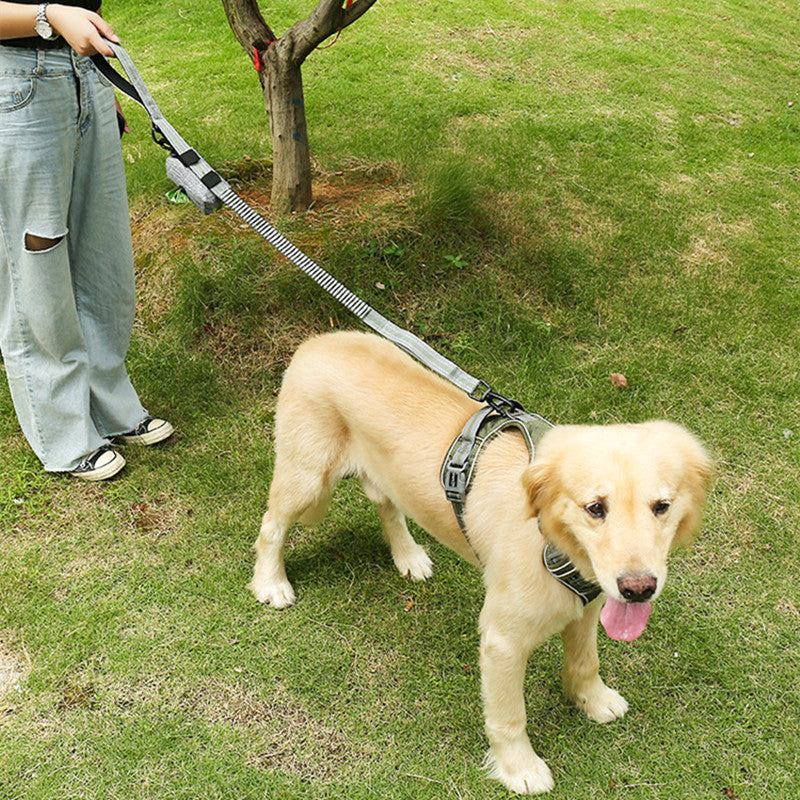 Pet Fluorescent Explosion Proof Elastic Retractable Leash